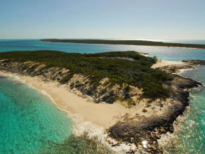 Leaf Cay for sale