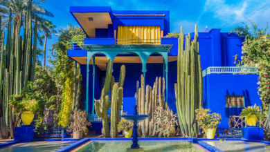 Photo of Stunning Home Near the Famous Yves Saint Laurent Garden in Morocco