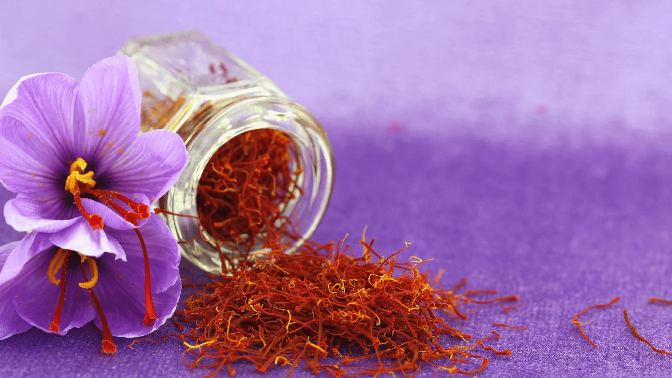 Saffron is so Expensive
