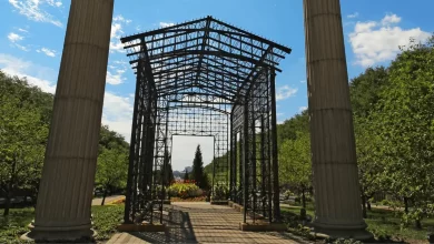 Photo of Discover the Magic of Maggie Daley Park: A Playful Paradise