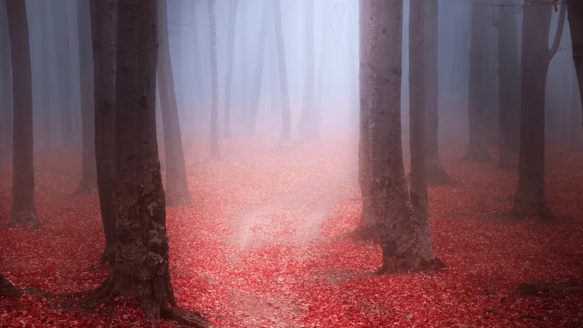 Trails Carolina Horror Stories
