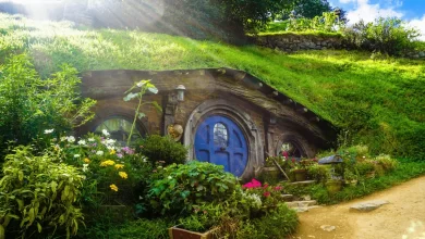 Photo of Hobbit Homes: Exploring the Enchanting World of Little Dwellings