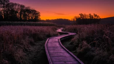 Photo of Magical Stairway to Heaven in NJ: A Spectacular Natural Wonder