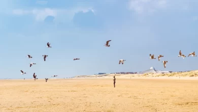 Photo of Crosby Beach: A Hidden Jewel of Serenity and Artistry