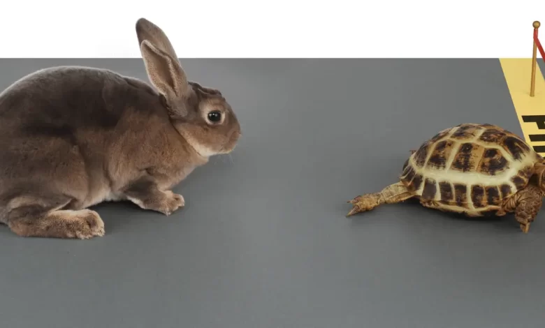 Hareking