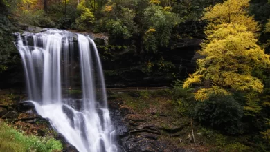 Photo of Discover the Breathtaking Beauty of Sunshine Falls, North Carolina
