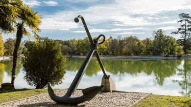 Photo of Casa de Campo: Where Nature and City Life Unite in Spain’s Heart