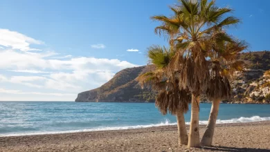 Photo of Costa Tropical: Basking in Nature’s Beauty
