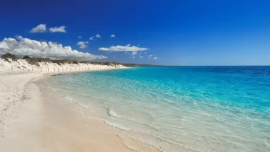 Photo of Experiencing Natural Beauty and Fun: Exploring Exmouth Beach