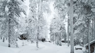 Photo of Experience Lapland UK: Where Winter Dreams Come True