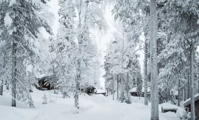Lapland UK