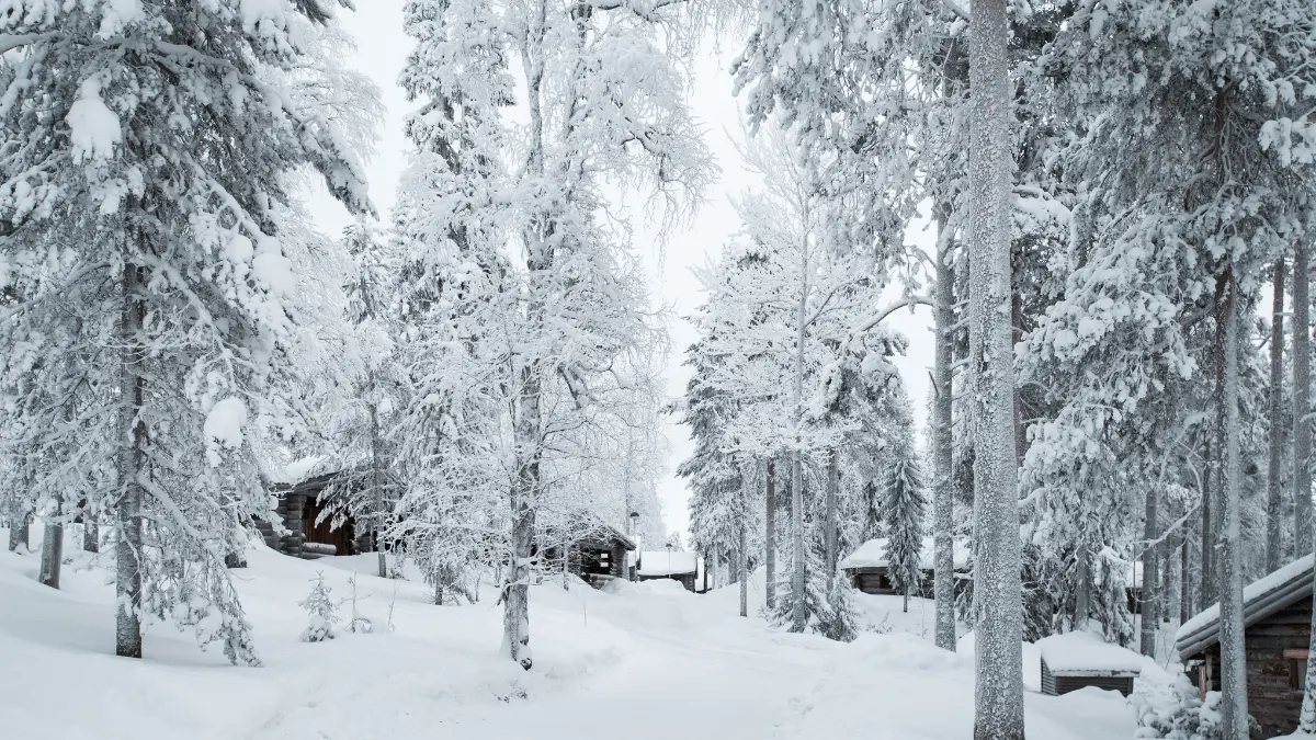 Lapland UK