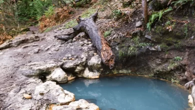 Photo of Dive into Bliss: Exploring the Umpqua Hot Springs