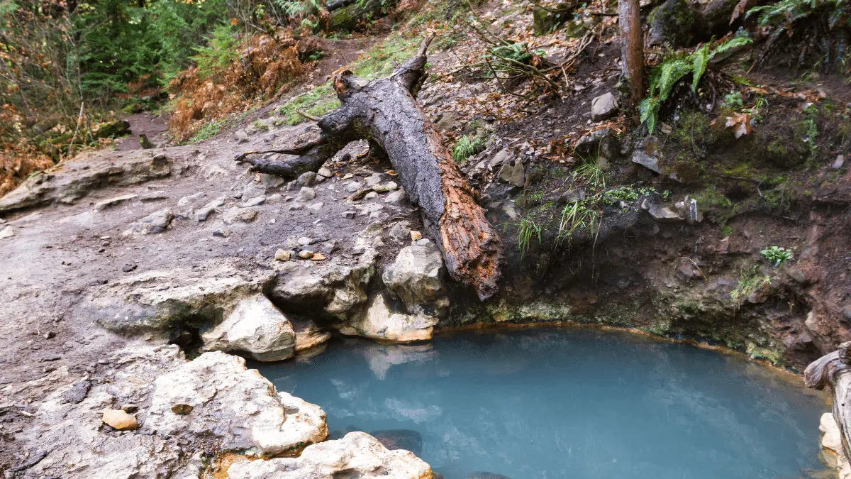 Umpqua Hot Springs