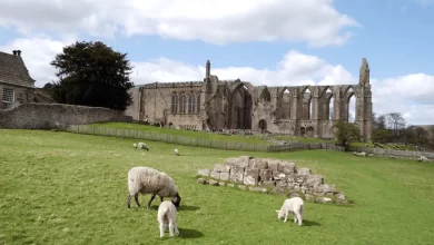 Photo of Bolton Abbey: Where History Meets Nature’s Calm