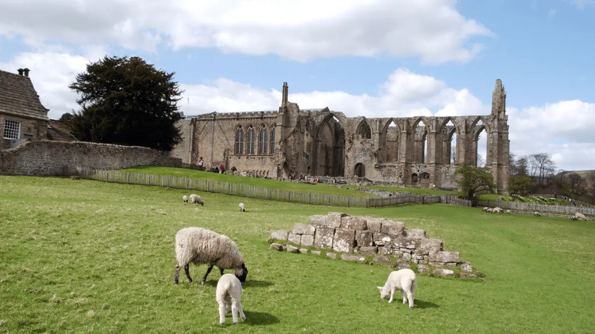 bolton abbey