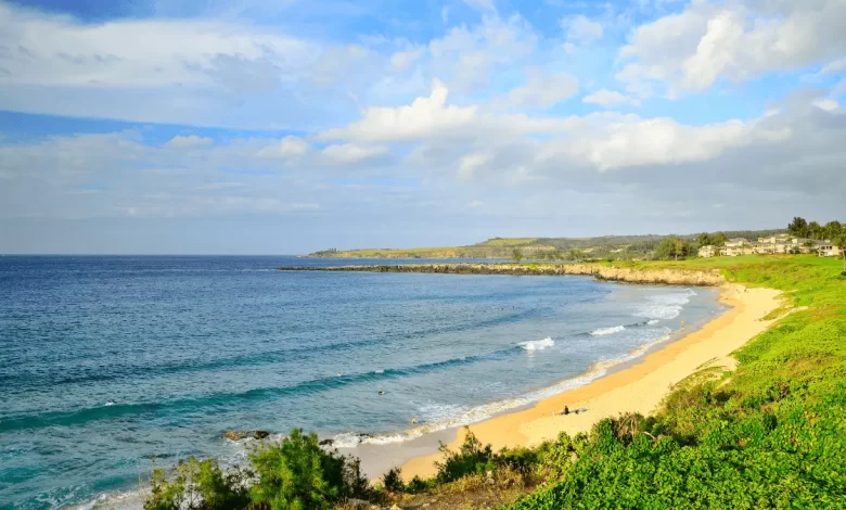 kapalua bay beach
