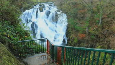 Photo of Swallow Falls: Where Nature’s Beauty Comes Alive