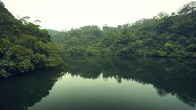 Photo of Lake Harmony: Nature’s Serene Retreat in Pennsylvania