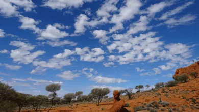Photo of Mount Magnet Accommodation for Your Outback Adventure