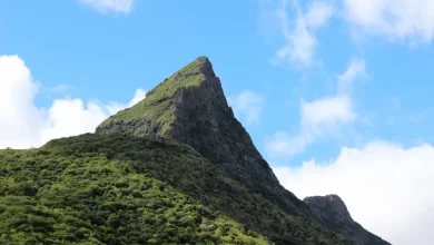 Photo of Riviere Noire – Mauritius’ Enchanting Coastal Paradise