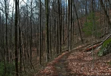 Photo of Exploring the Facts Surrounding Trails Carolina Death