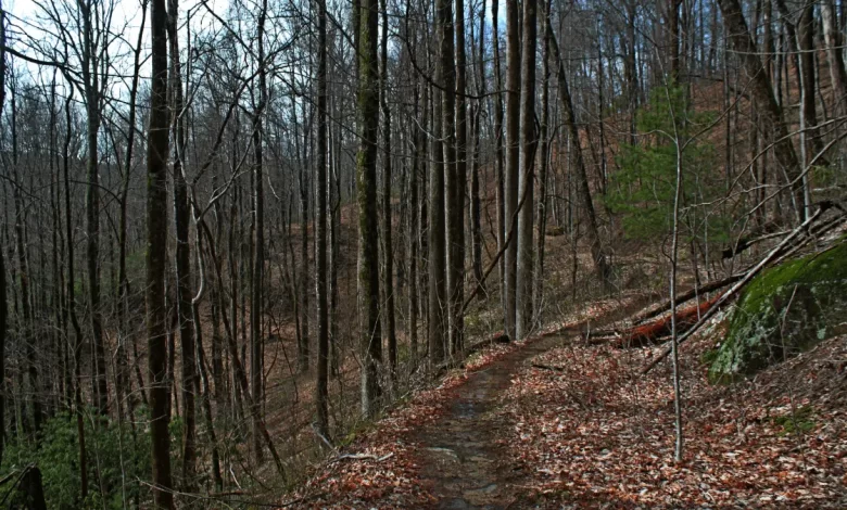 trails Carolina murder