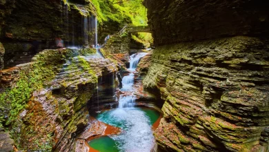 Photo of Watkins Path Waterfall: A Natural Wonder Awaiting You