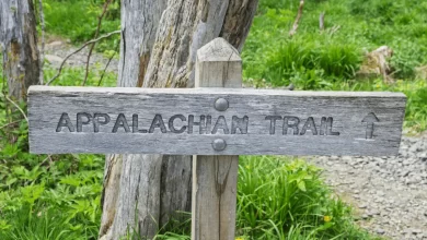 Photo of Appalachian Folklore: Legends, Myths, and Enigmatic Encounters