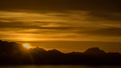 Photo of Isla del Carmen: Nature’s Paradise in Baja California Sur