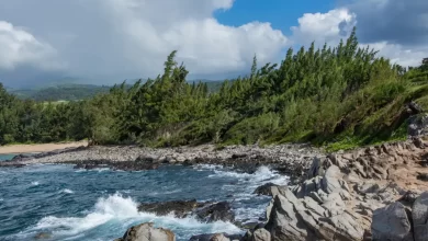 Photo of What Makes Makaluapuna Point So Special on Maui?