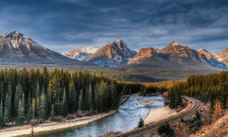Morant's Curve