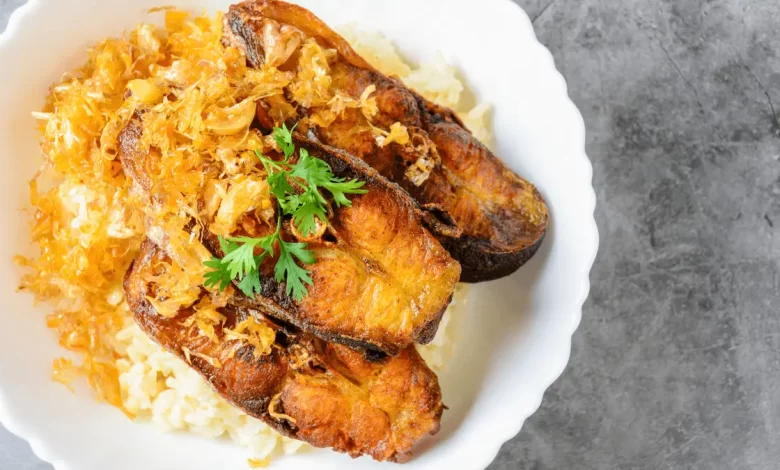 pangasius fish