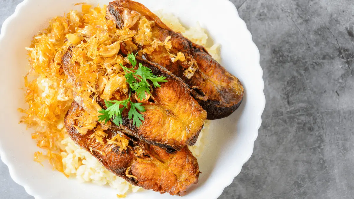 pangasius fish