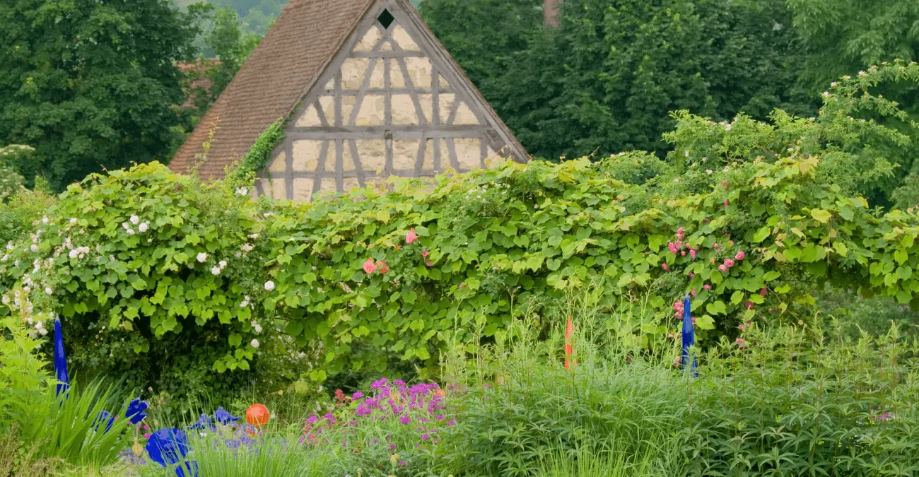 Fairytale Garden