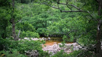 Photo of Discovering Glen Isla: A Hidden Gem in Angus Glens