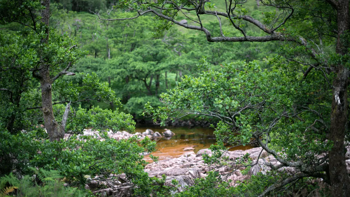 Glen Isla